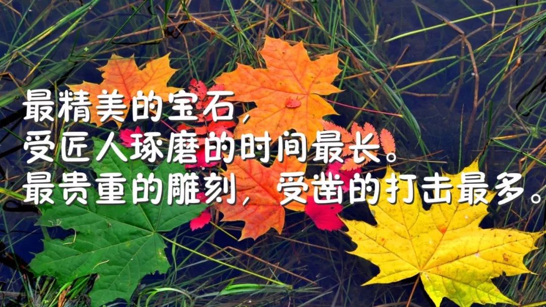 经典语录励志_古人励志经典语录励志_早上励志语录经典语录/